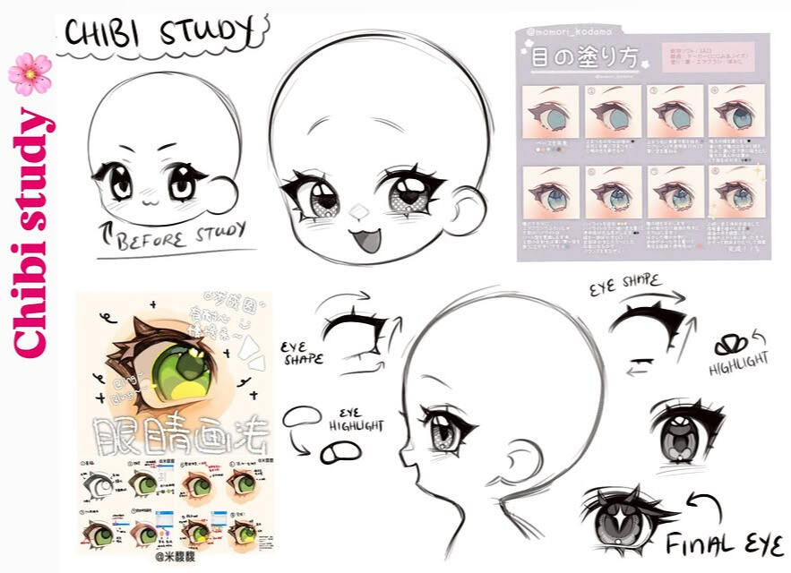 Chibi Study '26